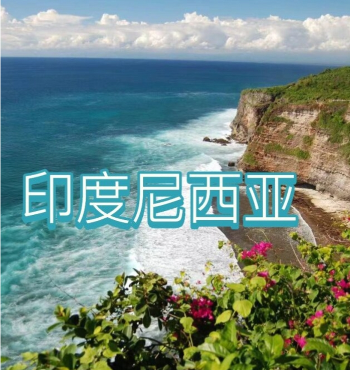 际电商(印尼)产业博览会开元棋牌2025中国国(图2) 际电商(印尼)产业博览会开元棋牌2025中国国(图2)