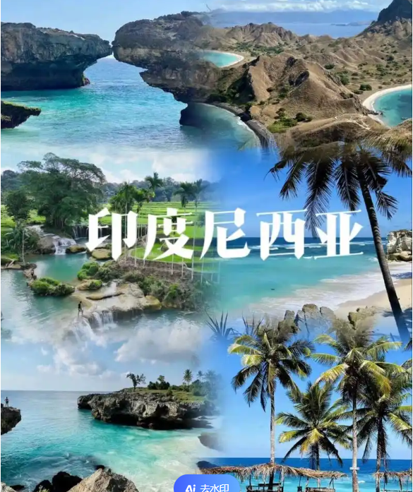 际电商(印尼)产业博览会开元棋牌2025中国国(图3) 际电商(印尼)产业博览会开元棋牌2025中国国(图3)