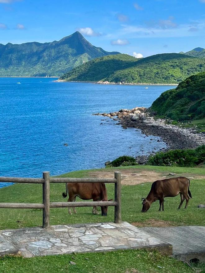 第二段徒步露营、打卡网红破边洲、游览塔门岛开元棋牌app深港跨年徒步丨香港麦理浩径(图7)